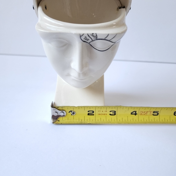 Phrenology Head ceramic porcelain medical terms decor - Picture 7 of 9